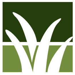 Ace Leaf Removal