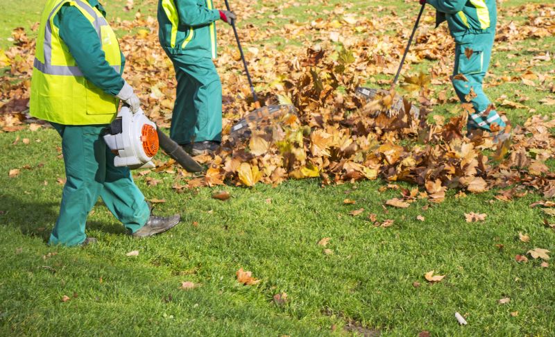 leaf removal contractors