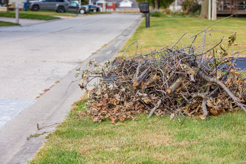 leaf removal contractors