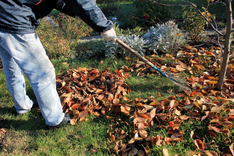 Autumn Leaf Removal in Ventura County, CA