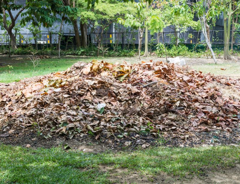 Brush Cleanup Service in Ventura County, CA