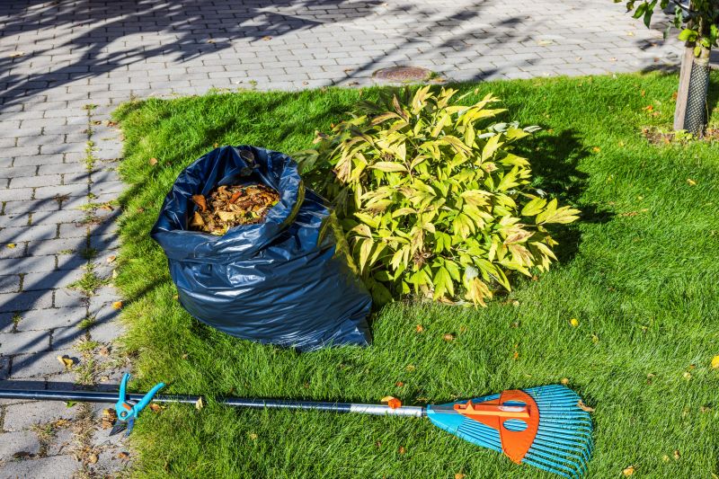 Commercial Leaf Removal in Ventura County, CA