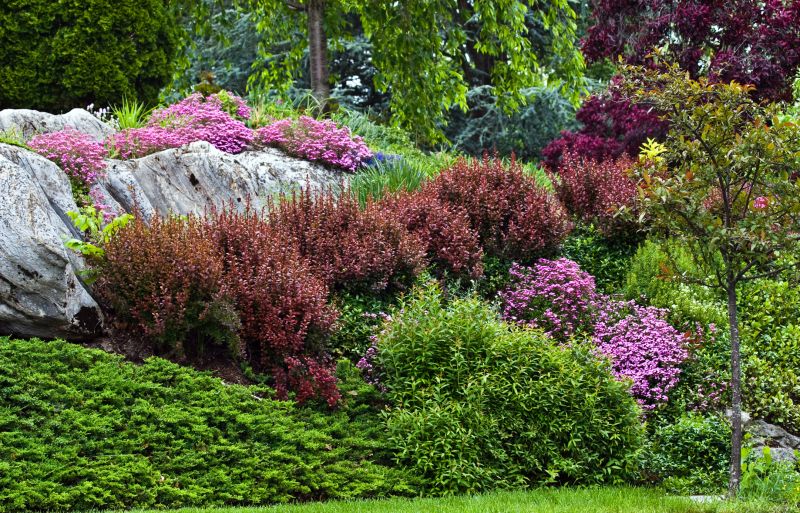 Dryscape Landscaping in Honolulu, HI