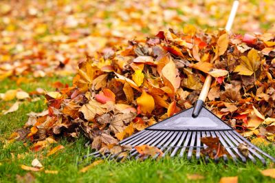 Seasonal Leaf Cleanup