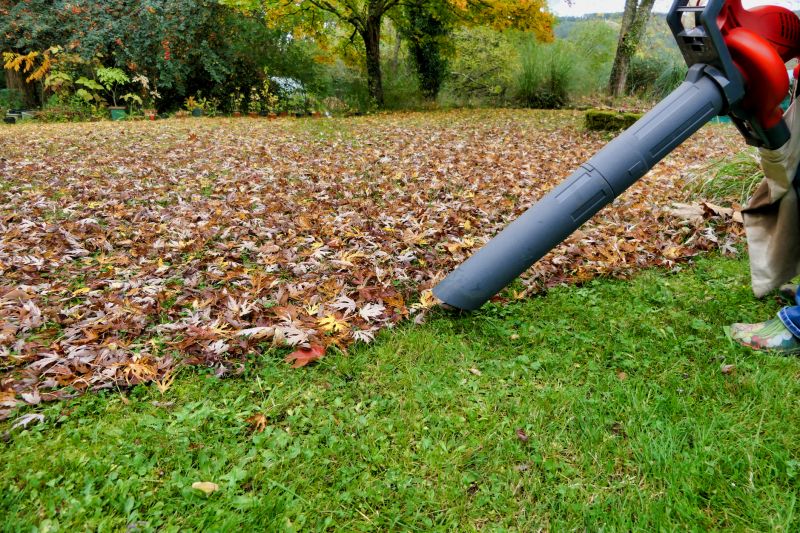 Tools for Fall Cleanup