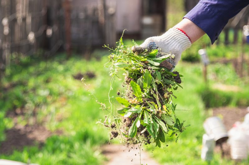 Garden Care Service in Ventura County, CA