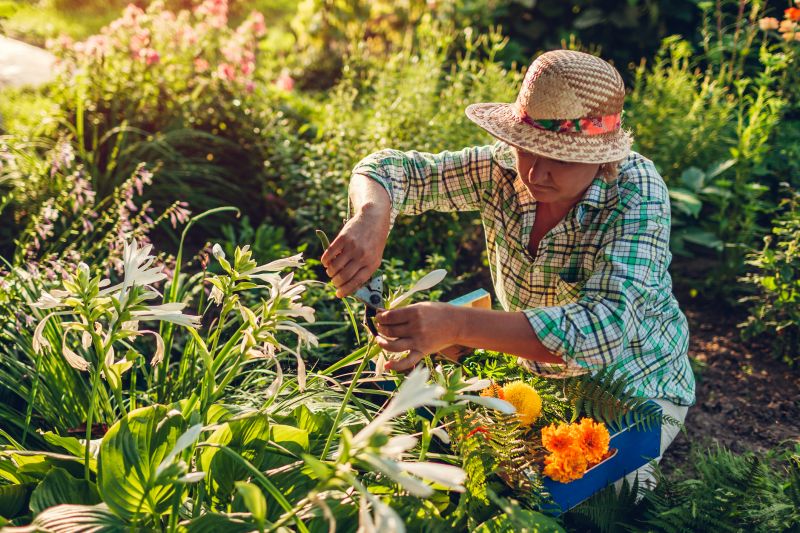 Garden Care Service in Ventura County, CA