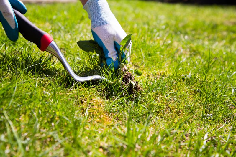 Garden Deweeding in Ventura County, CA
