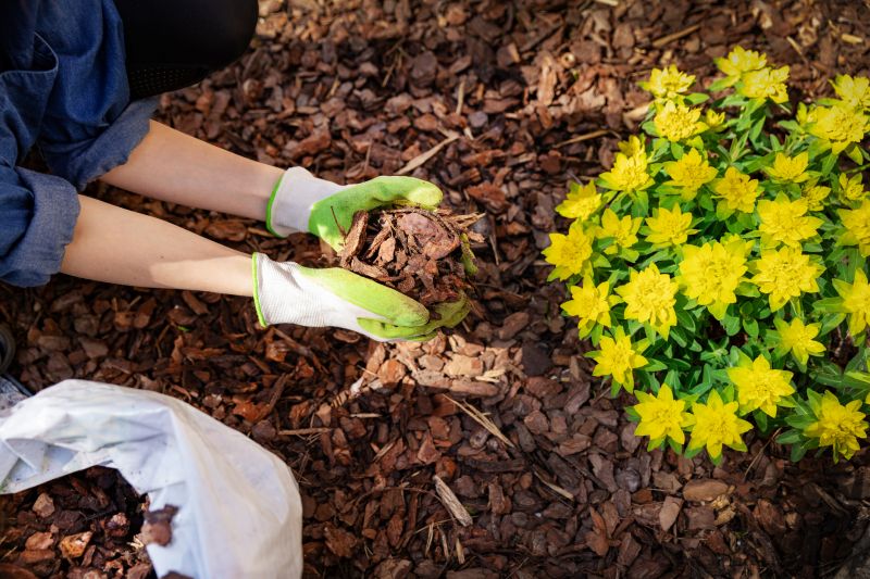 Garden Mulch Installation in Honolulu, HI