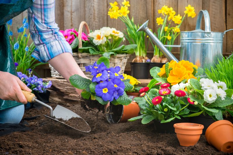 Home Gardening Service in Honolulu, HI