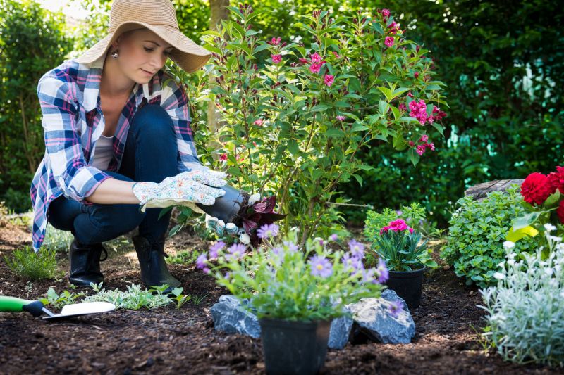 Landscape Planting Service in Honolulu, HI