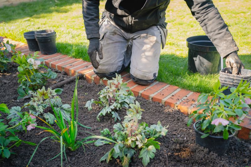 Lawn Border Installation in Honolulu, HI