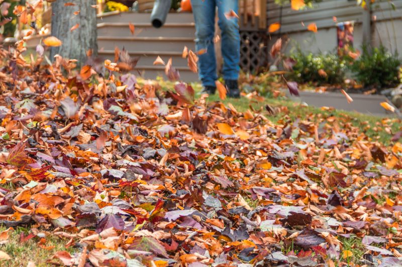 Lawn Cleanup Service in Honolulu, HI