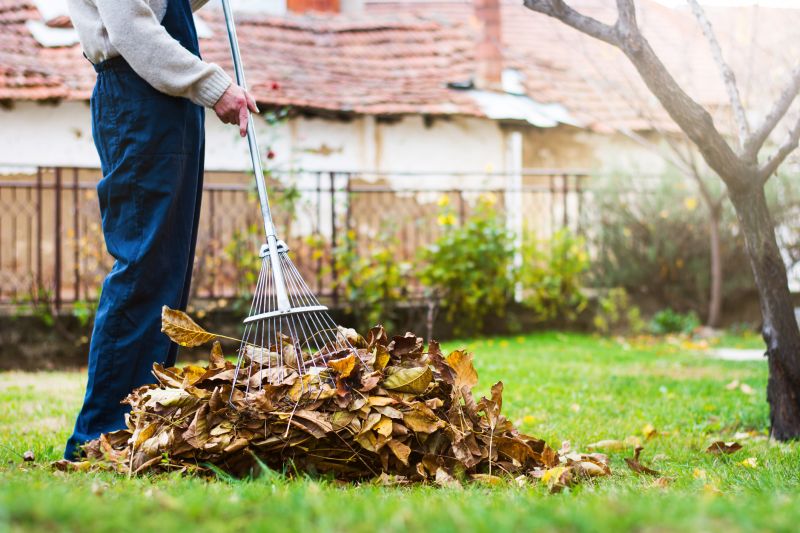 Leaf Cleanup Service in Honolulu, HI