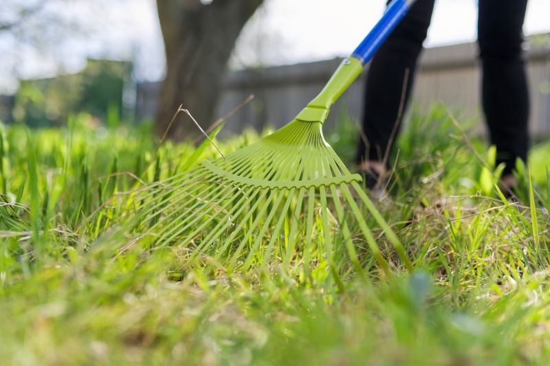 Leaf Raking Service in Honolulu, HI
