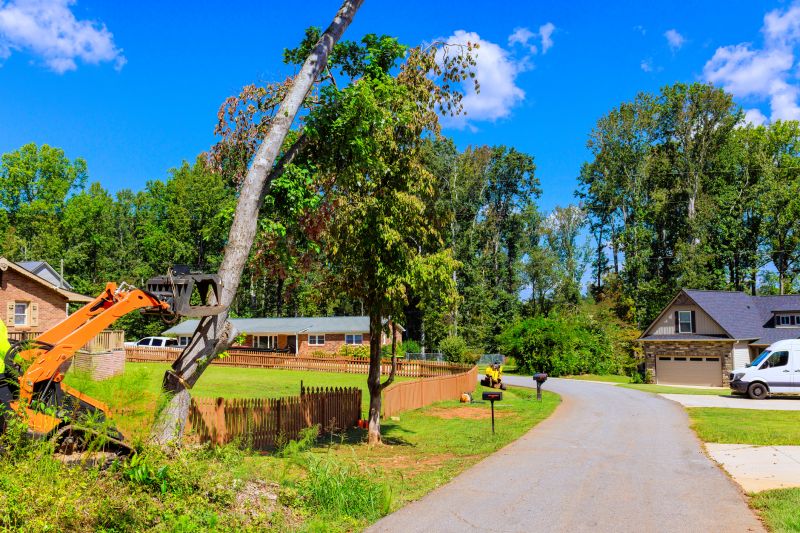 Leaf Removal Contractors