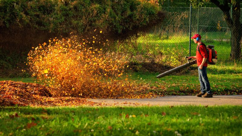 Leaf Removal Contractors