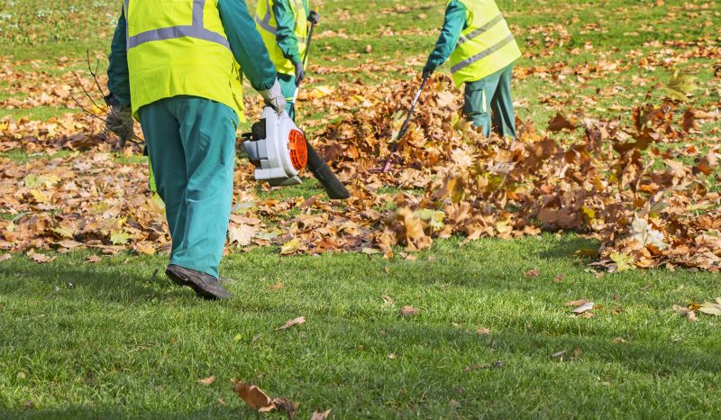 Leaf Removal Contractors