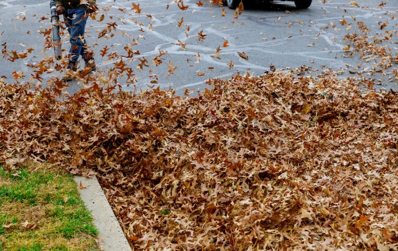Leaf Removal Contractors