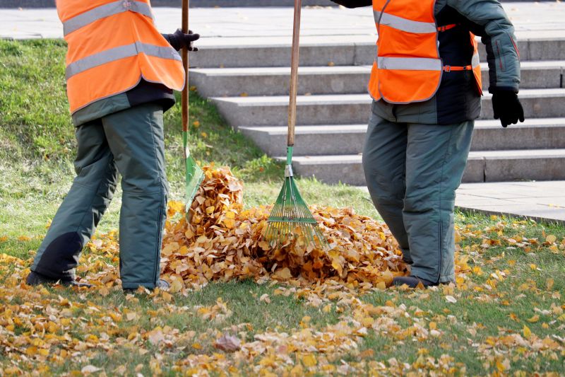 Leaf Removal Contractors