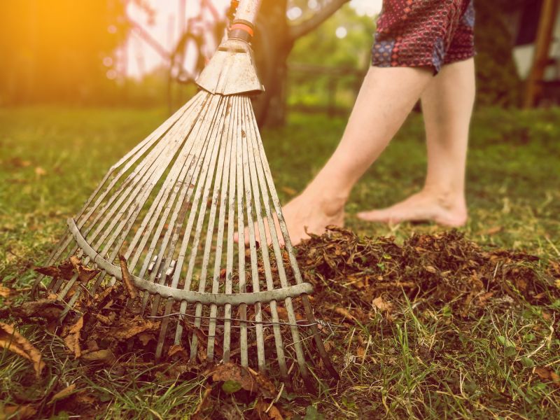 Pine Straw Raking in Ventura County, CA