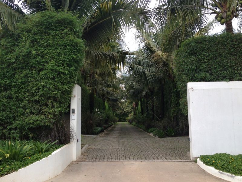 Privacy Shrub Installation in Honolulu, HI