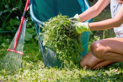 Seasonal Lawn Maintenance in Honolulu, HI