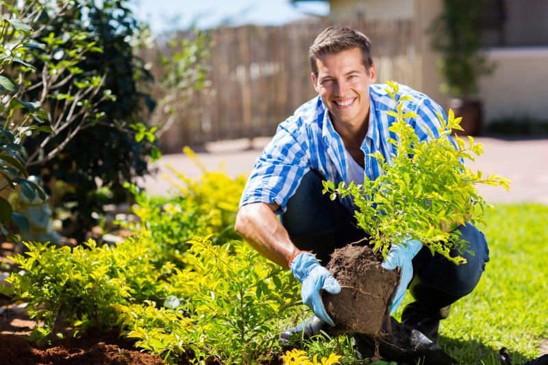 Shrub Planting Service in Honolulu, HI