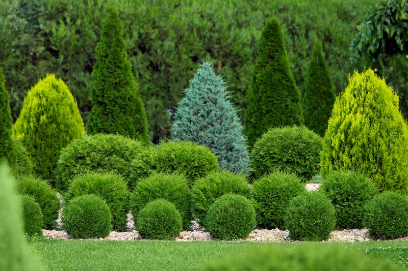Shrub Planting Service in Ventura County, CA