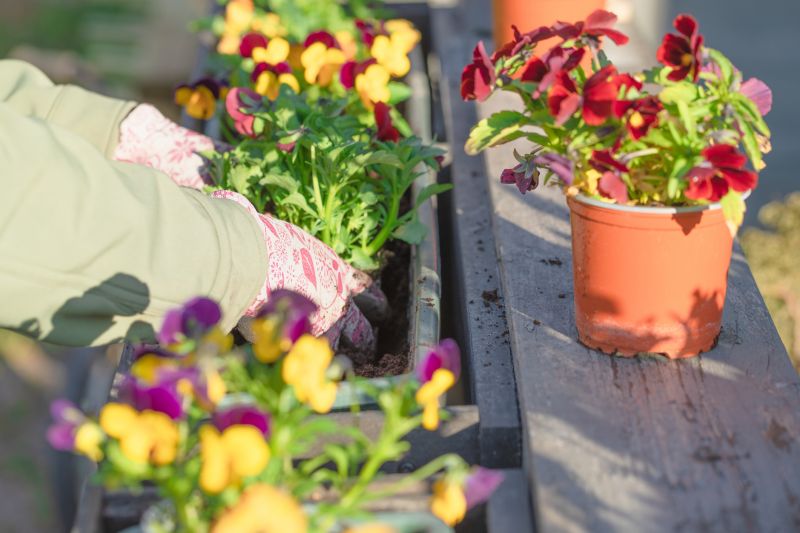Spring Garden Maintenance in Honolulu, HI