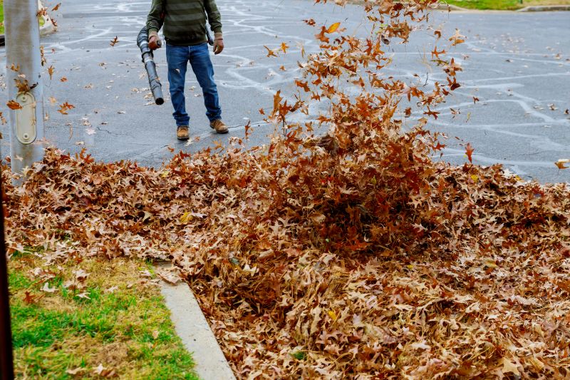 Spring Yard Clean Up Service in Ventura County, CA
