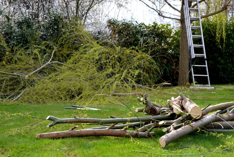 Tree Branches Removal in Ventura County, CA