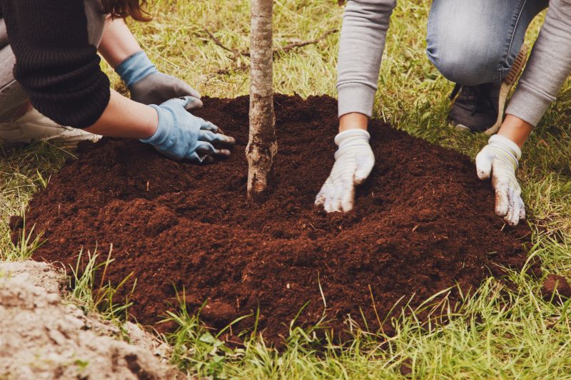 Tree Landscaping in Ventura County, CA