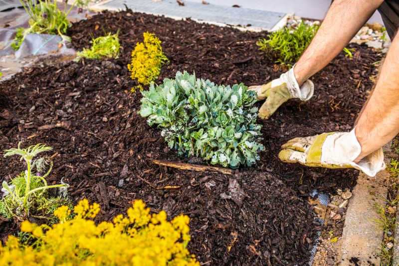 Weeding And Mulching in Ventura County, CA