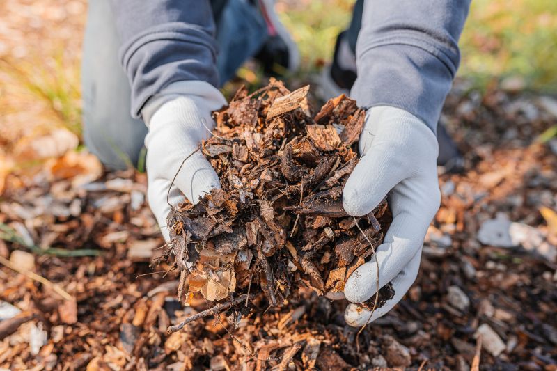 Weeding And Mulching in Ventura County, CA