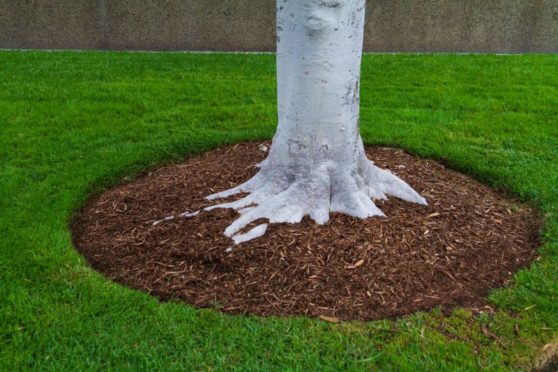 Weeding And Mulching in Honolulu, HI