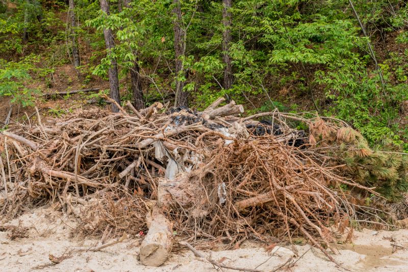 Yard Debris Removal in Ventura County, CA