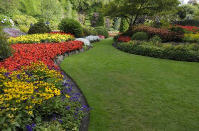 Industrial Landscaping Service in Honolulu, HI