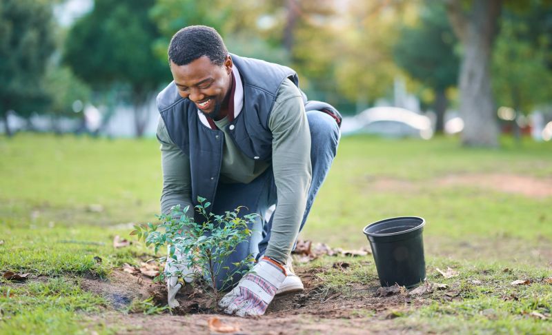 Plant Replacement in Ventura County, CA