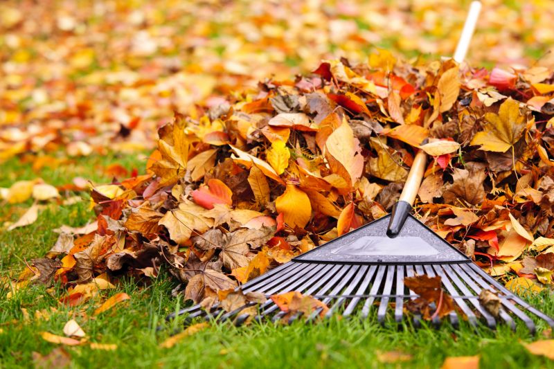 Seasonal Lawn Maintenance in Honolulu, HI