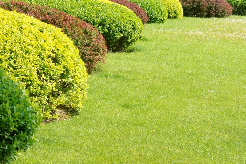 Shrub Landscaping in Ventura County, CA