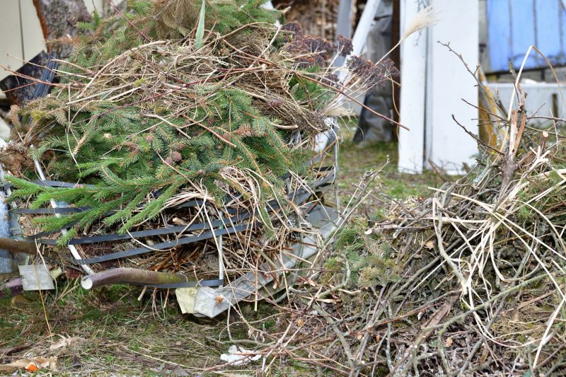Tree Limb Cleanup in Honolulu, HI