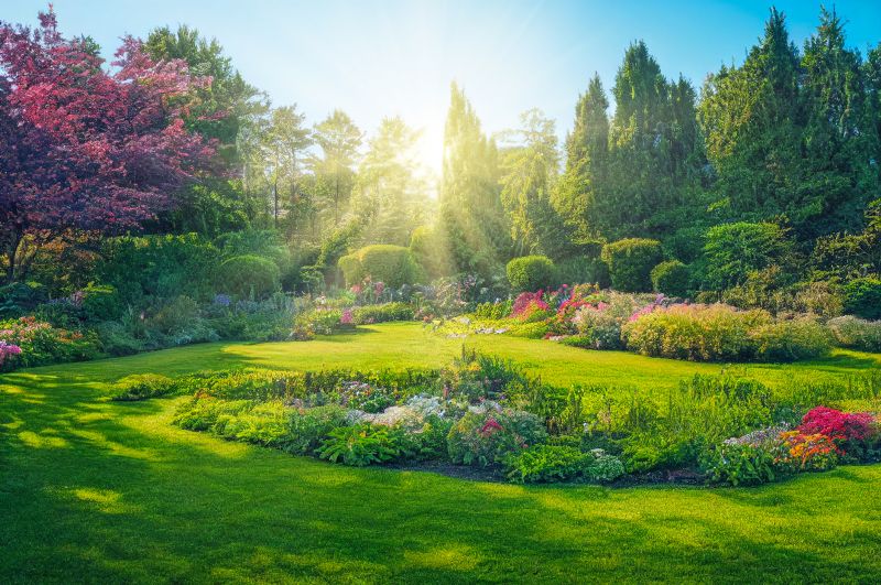 Water Landscaping Service in Honolulu, HI