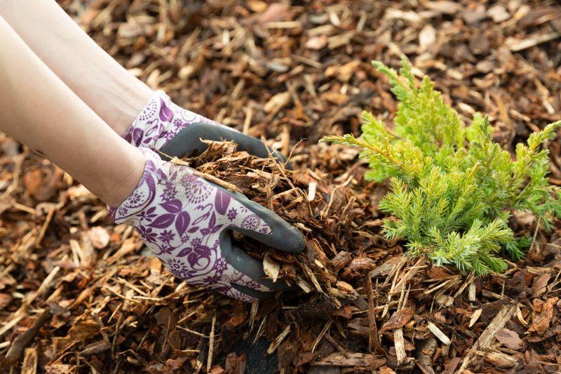 Weeding And Mulching in Honolulu, HI